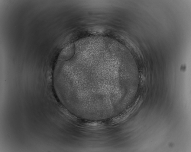 X0000102510561200809051413