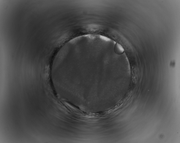 X0000102510563200809051413