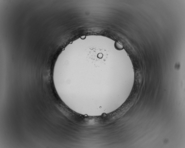 X0000102510564200809051413