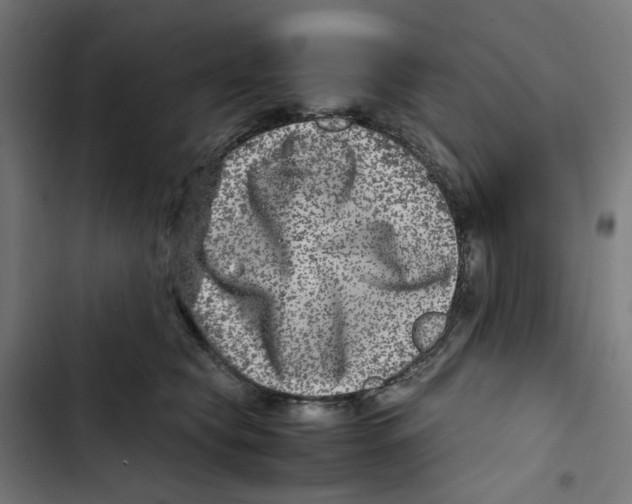 X0000102510565200809051413