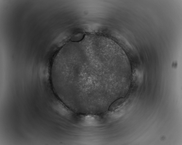 X0000102510566200809051413