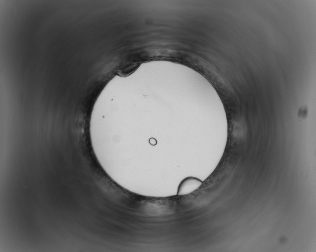 X0000102510567200809051413