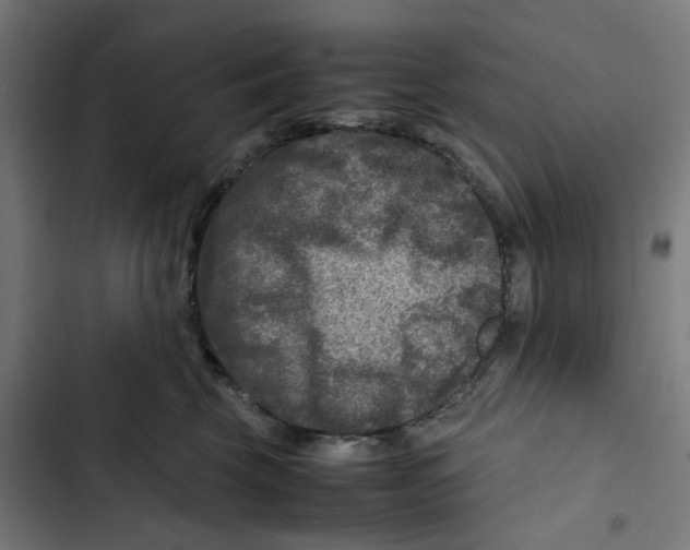 X0000102510569200809051413