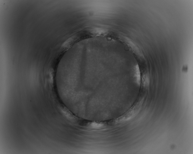 X0000102510570200809051413