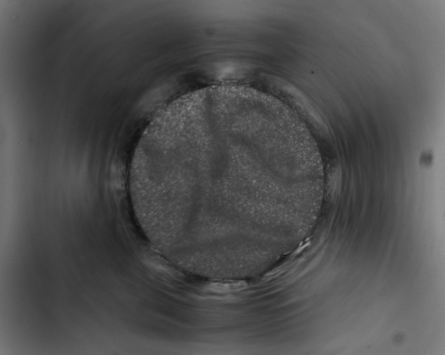 X0000102510571200809051413