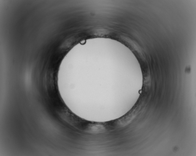 X0000102510572200809051413