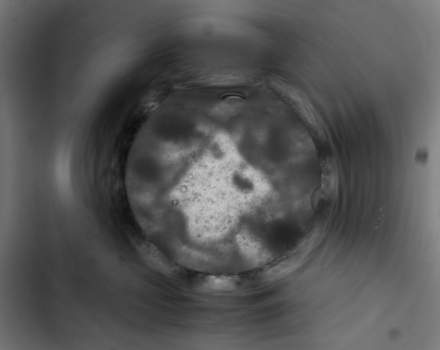 X0000102510573200809051413
