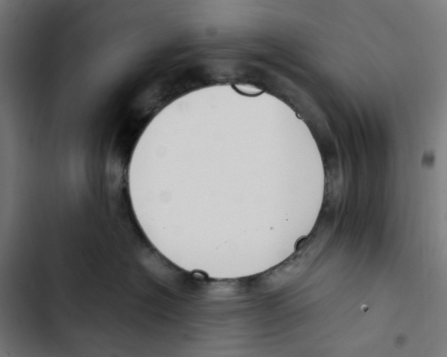X0000102510574200809051413
