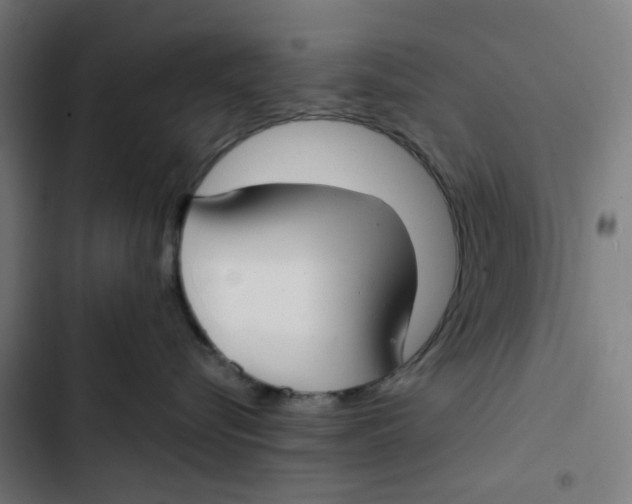 X0000102510576200809051413