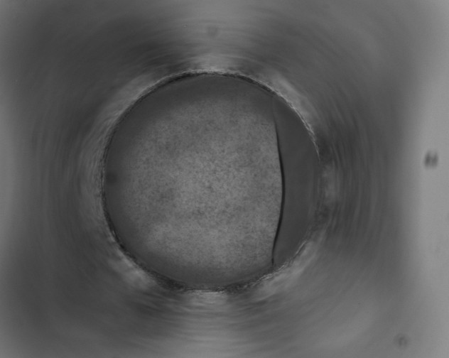 X0000102510577200809051412