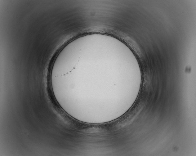 X0000102510578200809051412