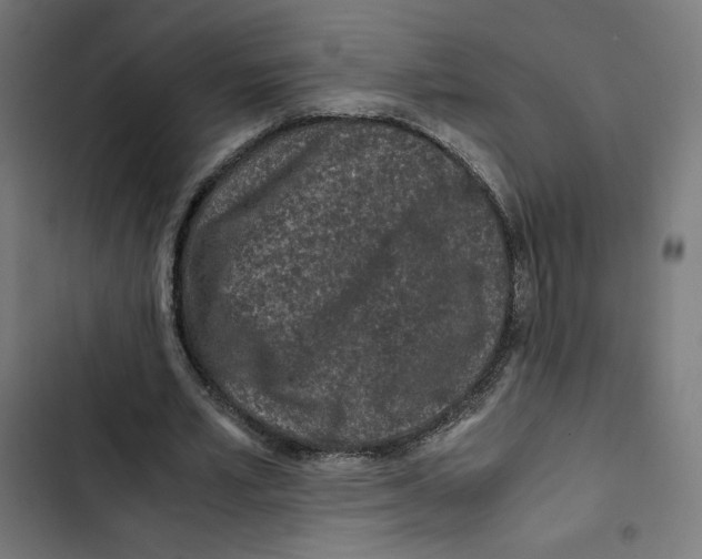 X0000102510581200809051412