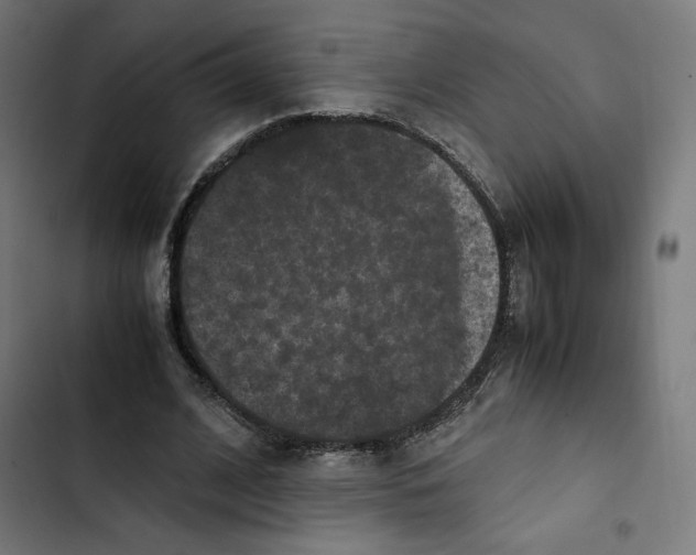 X0000102510584200809051412