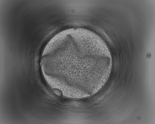 X0000102510585200809051412