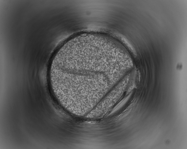 X0000102510588200809051412