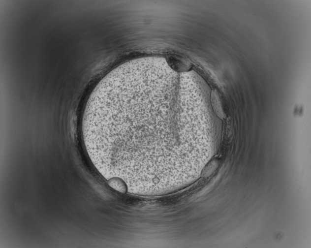 X0000102510589200809051412