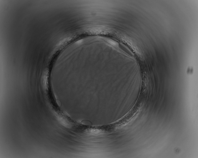 X0000102510590200809051412