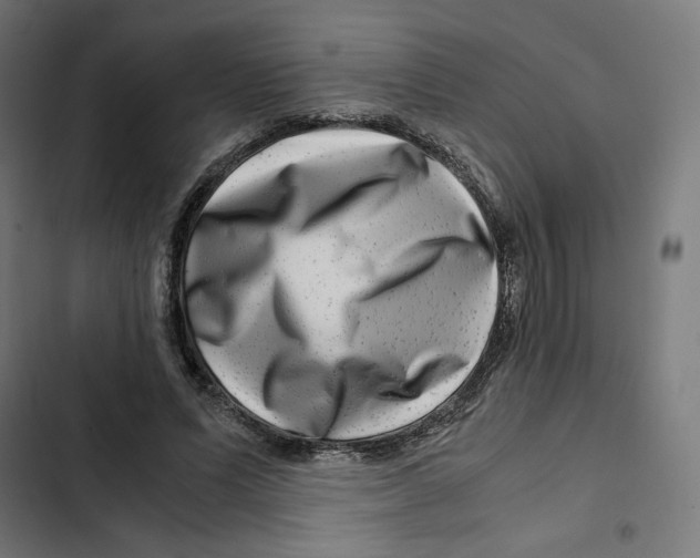 X0000102510591200809051412