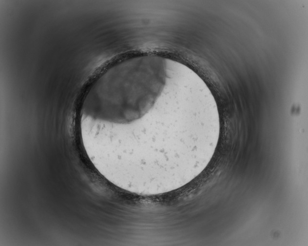 X0000102510592200809051412