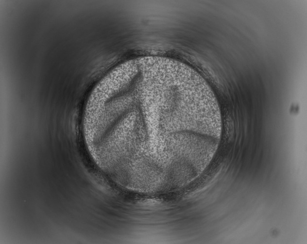 X0000102510594200809051412