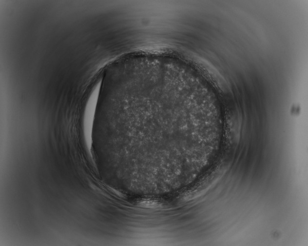X0000102510596200809051412
