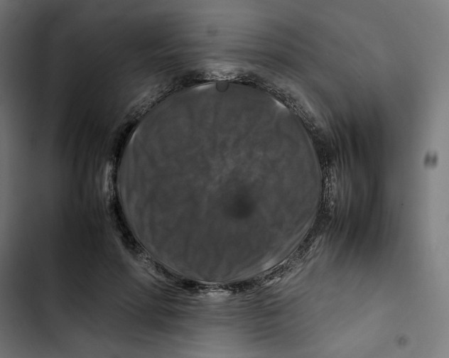 X0000102510598200809051412