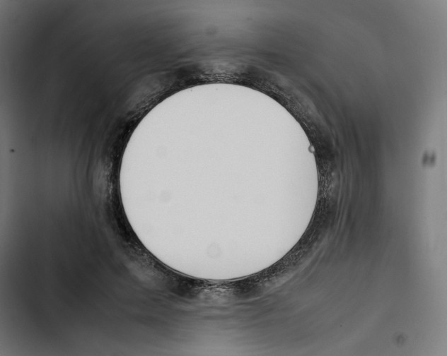 X0000102510599200809051412