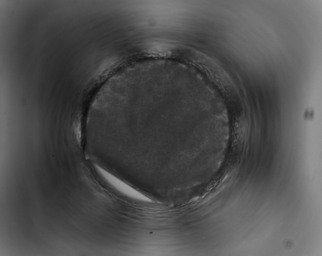 X0000102510600200809051412