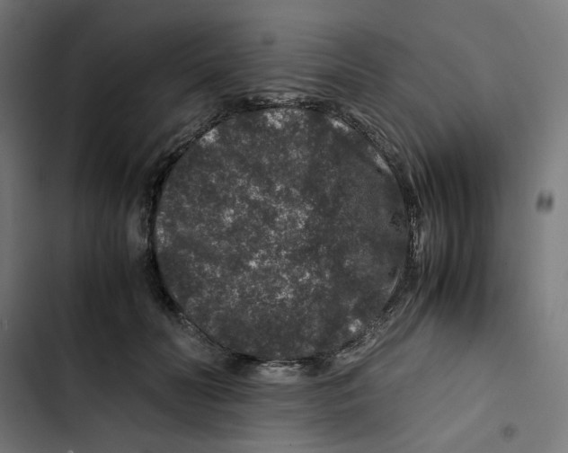 X0000102510606200809051412