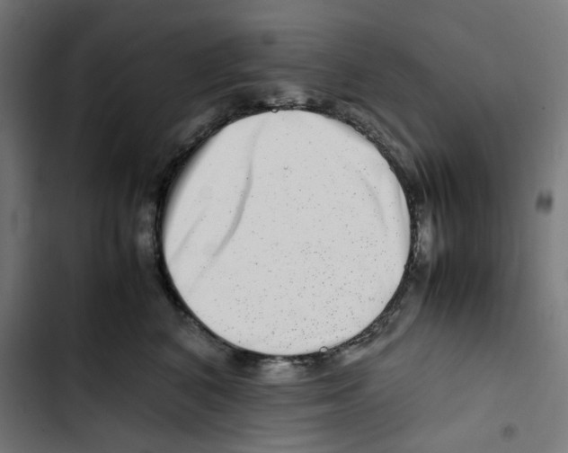 X0000102510616200809051412