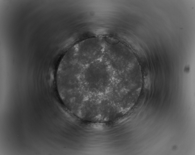 X0000102510618200809051412