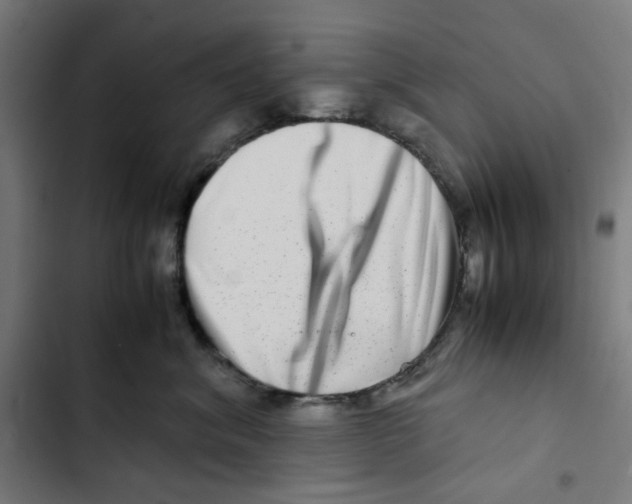 X0000102510620200809051412