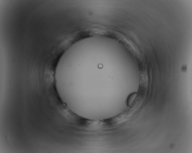 X0000102510621200809051412