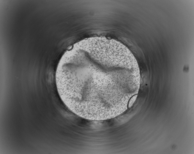 X0000102510623200809051412
