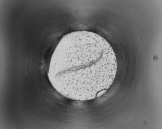 X0000102510624200809051411