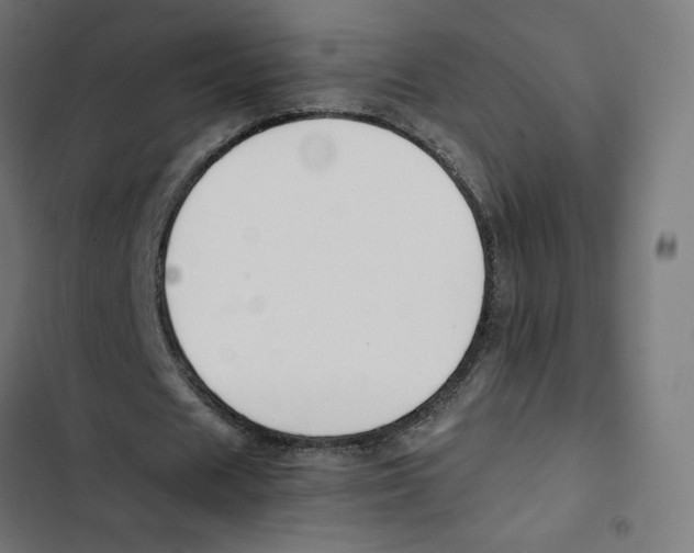 X0000102510625200809051411