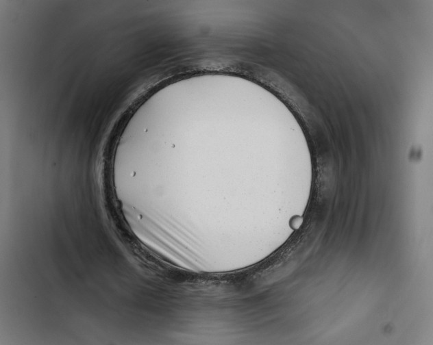 X0000102510626200809051411