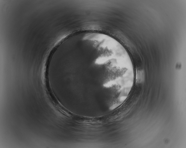 X0000102510627200809051411