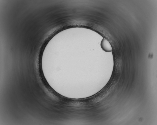 X0000102510629200809051411