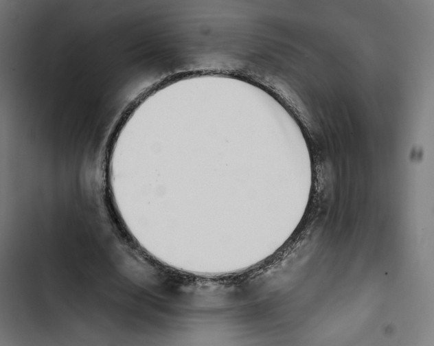 X0000102510632200809051411