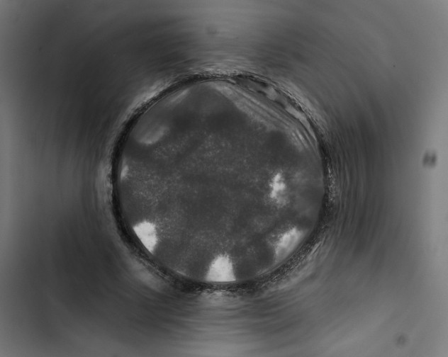 X0000102510634200809051411