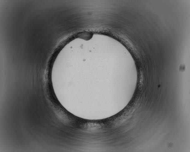 X0000102510636200809051411