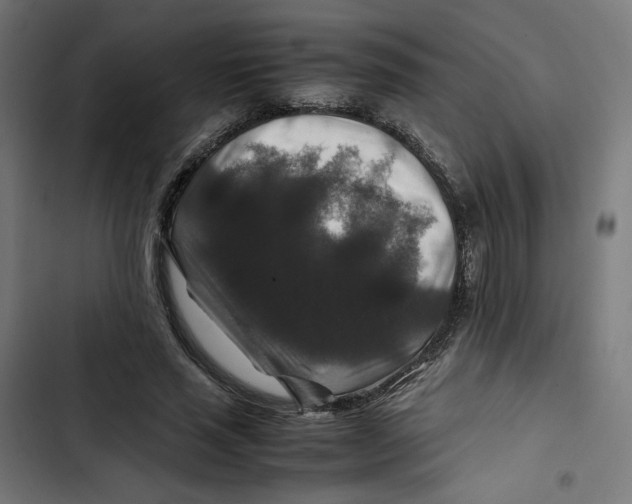 X0000102510637200809051411