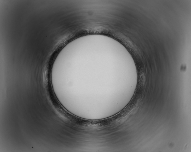 X0000102510638200809051411