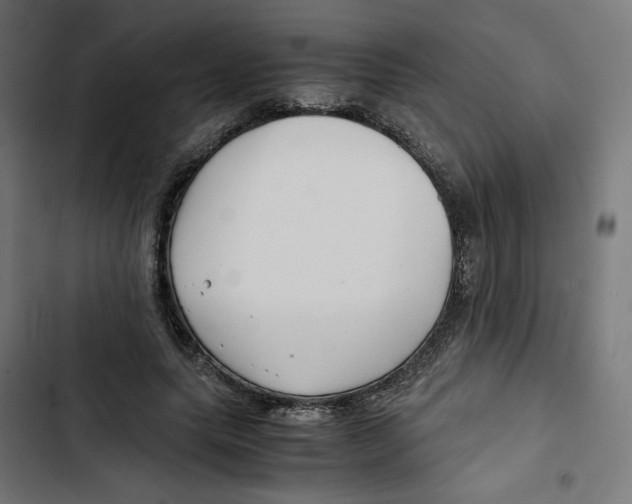 X0000102510639200809051411