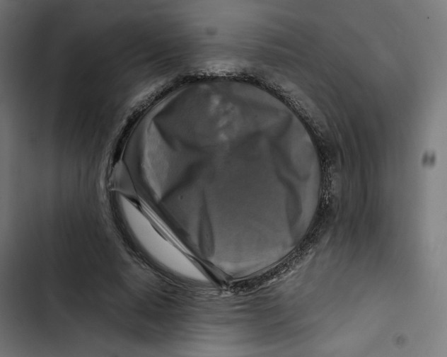 X0000102510640200809051411