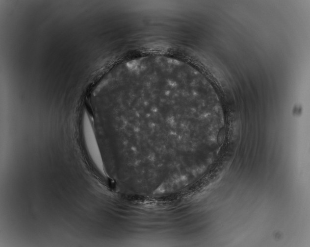 X0000102510641200809051411