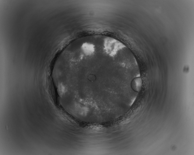 X0000102510642200809051411