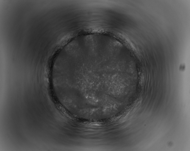 X0000102510643200809051411