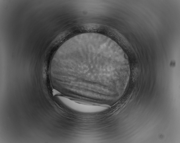 X0000102510644200809051411